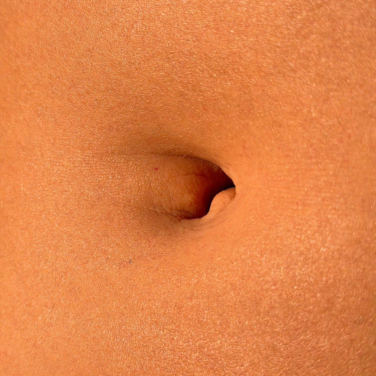 “Katelyn Mini Slab” - Realistic Belly Button Silicone Display